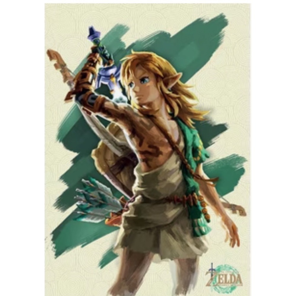 Legend of Zelda Tears of the Kingdom Link with Sword 24x36 Rolled Poster Art